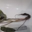 20171229_111618.jpg