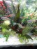 DSC07839.JPG