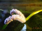 DSC07847.JPG