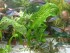 DSC07974.JPG