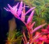 IMG_20171209_190021.jpg