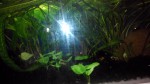 IMG_20171219_165007.jpg