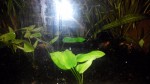 IMG_20171219_165028.jpg