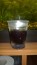 WP_20171201_003.jpg