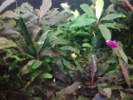 copy_21_IMG_20171225_072940.jpg