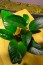 copy_325_DSC_0574.jpg