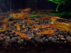 copy_328_P_20171008_173346.jpg