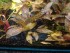 copy_644_IMG_20170215_193633.jpg