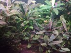 copy_699_IMG_20171225_072914.jpg
