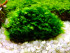 copy_731_Mallorca-1.jpg