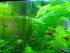 copy_734_copy_772_DSC07803.jpg