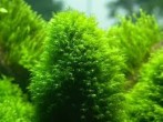 copy_750_copy_828_images-1.jpg