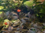 copy_832_IMG_20170215_193624.jpg
