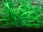 copy_896_IMG_20171130_212315-1.jpg