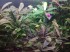 copy_898_IMG_20171225_072928.jpg