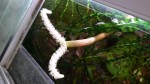 20160507_132059.jpg
