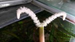 20160507_132513.jpg