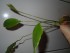DSCN1350.JPG