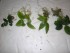 DSCN1378.JPG