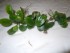 DSCN1392.JPG