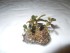 DSCN1419.JPG