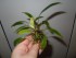 DSCN1465.JPG
