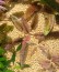 IMG_20180113_120241-2.jpg