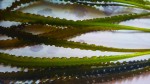 IMG_20180126_135846.jpg