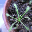 P1460046.JPG