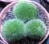P1460054.JPG