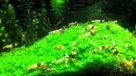 WP_20170119_07_48_09_Pro.jpg