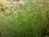 copy_252_040120081784.jpg