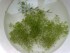 copy_595_030120081773.jpg