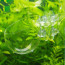 copy_618_copy_612_s-l1600-4.jpg