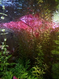 copy_679_IMG_20171027_193134.jpg