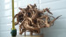 20180209_161509.jpg