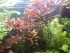 20180224_153506.jpg