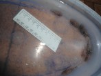 DSC04023.JPG