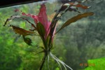 DSC_1140.JPG
