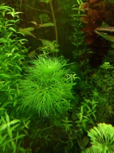 IMG_20180210_160846.jpg