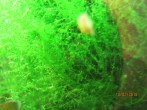 IMG_4431.JPG