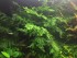 copy_488_wnlII3wVxb4.jpg