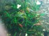 copy_49_IMG_20180210_193540.jpg