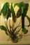 copy_62_DSC_0001.jpg