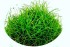 copy_873_copy_214_белем_cr.jpg