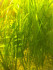 media-share-0-02-05-205535e3c93f884f8e33f52ba0d7ab5ad58ca4cd81bc03f1e5ed6f02beaf3574-9c7dd04d-9186-4bac-a646-0ec1fc1143d9.jpg