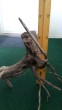 20180305_113356.jpg