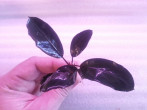 20180321_171646.jpg