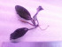20180321_172346.jpg