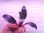 20180321_172417.jpg